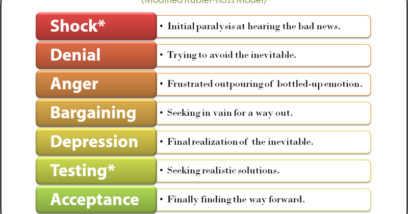 7 Stages of Grief (Kubler-Ross) & Stages of Sussex Success
